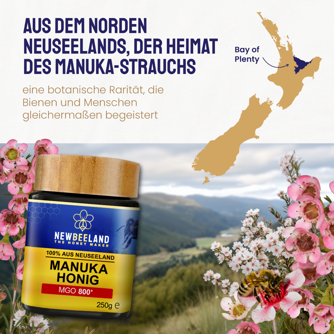 Manuka Honig MGO 800+